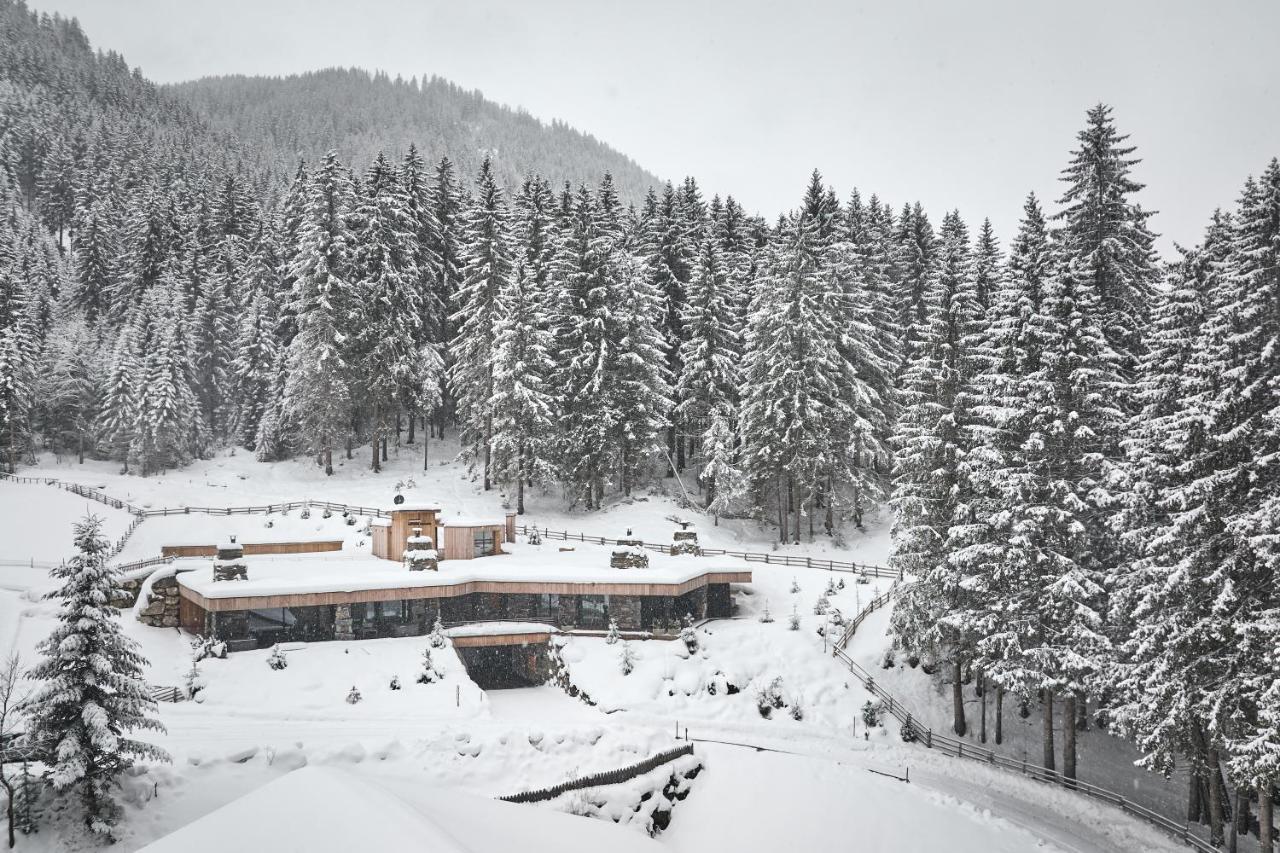 Tenne Chalets Racines Εξωτερικό φωτογραφία