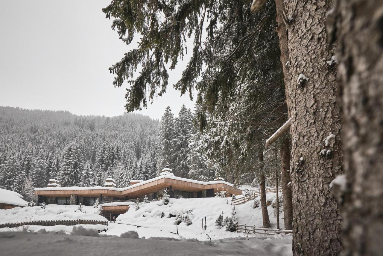 Tenne Chalets Racines Εξωτερικό φωτογραφία